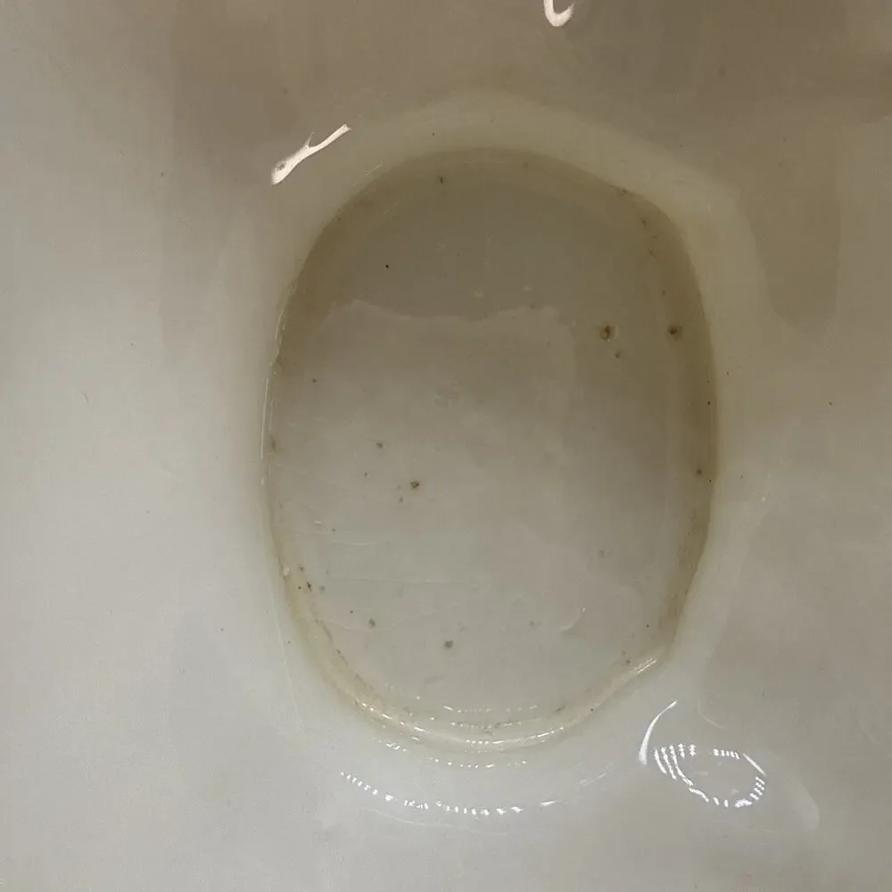 Publix plate gravy